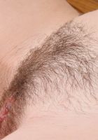 Hairy coed Alexandra teases with her panties and hairy pussy, Alexandra (ale077) ATK Archives: Alexandra (Hairy coed Alexandra teases with her panties and hairy pussy)
