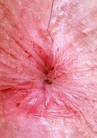 Ali Jones from ATK Galleria