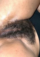 Angela Upskirt Spreads, Angela (ang031) ATK Natural & Hairy: Angela (Angela Upskirt Spreads)