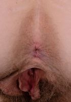 Apricot Pitts in young and hairy, Apricot Pitts (apr024) ATK Natural & Hairy: Apricot Pitts (Apricot Pitts in young and hairy)