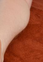 Apricot Pitts in young and hairy, Apricot Pitts (apr024) ATK Natural & Hairy: Apricot Pitts (Apricot Pitts in young and hairy)