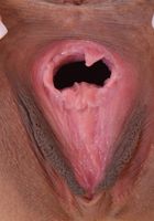 Ava's pussy is so pink against her tan skin, Ava Alba (ava020) ATK Exotics: Ava Alba (Ava's pussy is so pink against her tan skin)