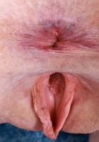 Avery Wilds from ATK Galleria