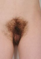 Hairy Brandi spreads her bush in the kitchen, Brandi Dandi (bra038) ATK Archives: Brandi Dandi (Hairy Brandi spreads her bush in the kitchen)