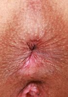 Brianna Arson Sizzles and Spreads, Brianna Arson (bri075) ATK Petites: Brianna Arson (Brianna Arson Sizzles and Spreads)