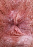 Annabelle Lee kicks things off from ATK Petites Annabelle Lee from ATK Petites