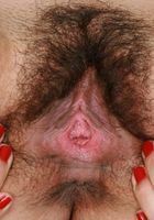 Daisy in latinas, Daisy (dai012) ATK Exotics: Daisy (Daisy in latinas)