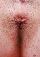 Daydream Daisy from ATK Galleria