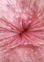 ATK Galleria: Daydream Daisy (Daydream Daisy welcomes you to Hooters)