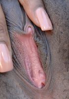 Ebony in nudism, Ebony (ebo005) ATK Exotics: Ebony (Ebony in nudism)