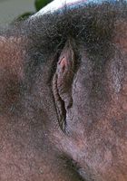 Felicia in black women, Felicia (fel010) ATK Exotics: Felicia (Felicia in black women)