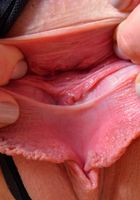 Haley Reed in amateur, Haley Reed (hal021) ATK Premium: Haley Reed (Haley Reed in amateur)