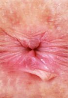 Jackie Hoff Skirt Stripping, Jackie Hoff (jac041) ATK Natural & Hairy: Jackie Hoff (Jackie Hoff Skirt Stripping)