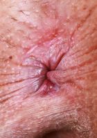 Kate Legend from ATK Exotics