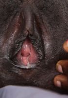 Kima is pure black beauty, Kima (kim063) ATK Exotics: Kima (Kima is pure black beauty)