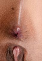 Lilly Evans in latinas, Lilly Evans (lil051) ATK Exotics: Lilly Evans (Lilly Evans in latinas)