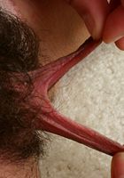 Nina loves to show off her sexy hirsute body, Nina (nin011) ATK Archives: Nina (Nina loves to show off her sexy hirsute body)