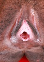 Poppy Cox from ATK Exotics