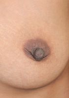 Rose from ATK Petites