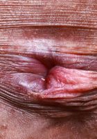 Salee Lee from ATK Petites