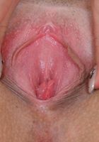 Sexy babe Sandy spreads her shaved pussy and masturbates, Sandy (san044) ATK Archives: Sandy (Sexy babe Sandy spreads her shaved pussy and masturbates)