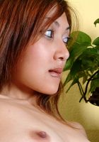 Satami in upskirts and panties, Satami (sat003) ATK Petites: Satami (Satami in upskirts and panties)