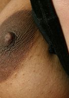 Shadow from ATK Natural & Hairy