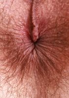 Sia Wood from ATK Natural & Hairy