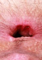 Sia Wood Got Herself Gaping, Sia Wood (sia004) ATK Natural & Hairy: Sia Wood (Sia Wood Got Herself Gaping)
