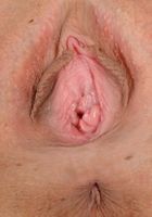Taylor Reed makes your cock leaks semen fast with her hot firm ass., Taylor Reed (tay043) ATK Petites: Taylor Reed (Taylor Reed makes your cock leaks semen fast with her hot firm ass.)