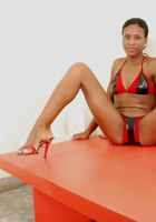 Vania from ATK Exotics