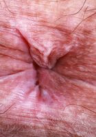 Violet Viper from ATK Natural & Hairy